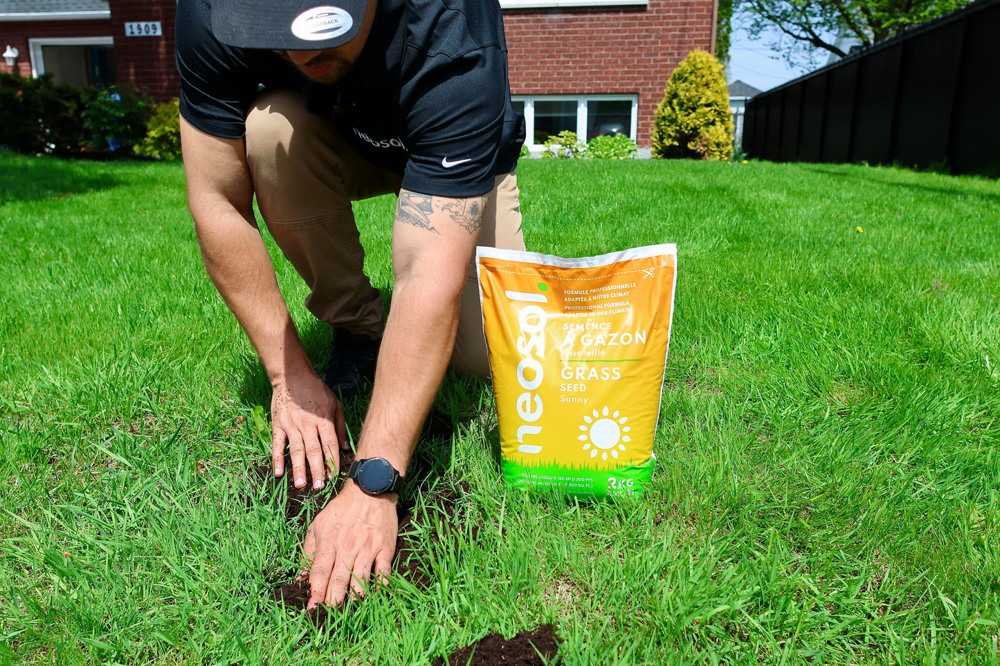 Sun grass seed - 2kg