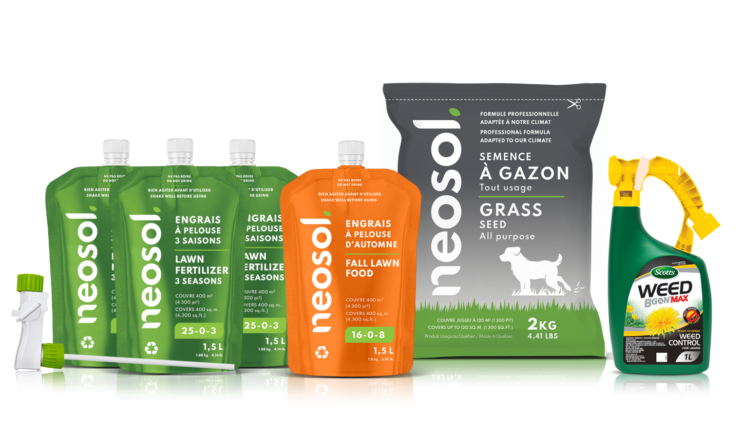 Neosol Box - Option 1 (4E, 1S, 1H)