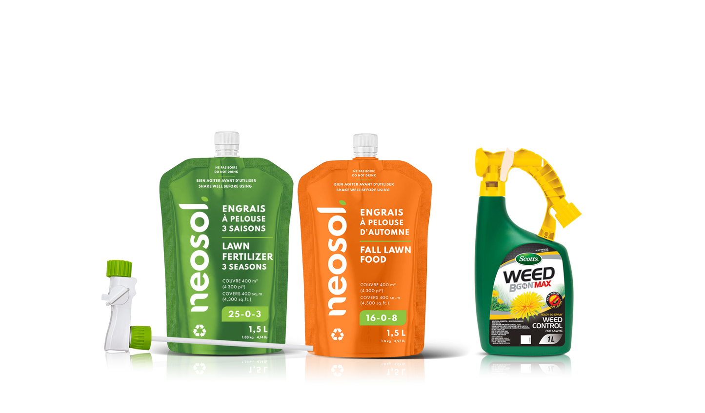 Neosol Box - Possibility 10 (2E, 0S, 1H)