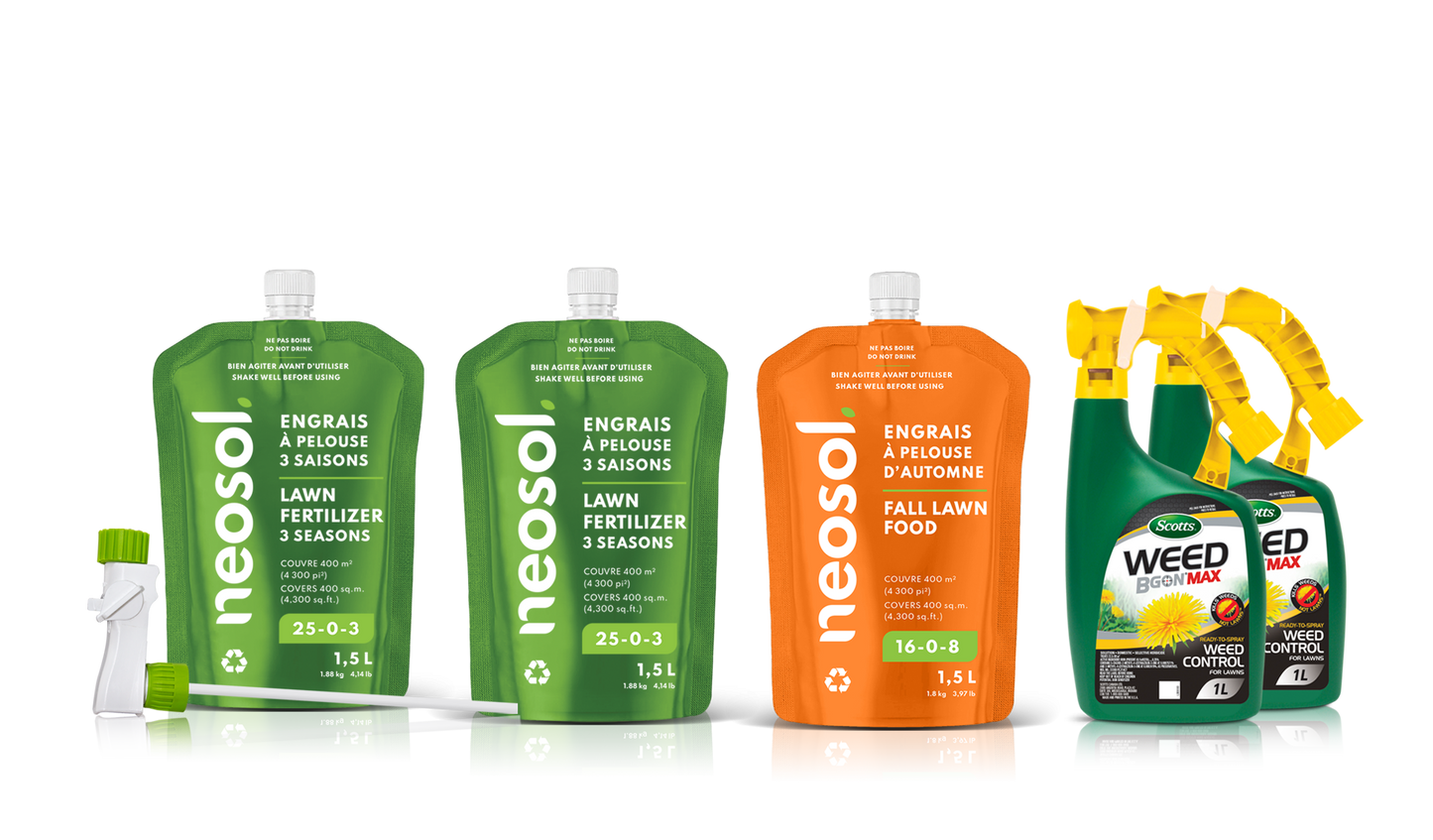 Neosol Box - Possibility 8 (3E, 0S, 2H)