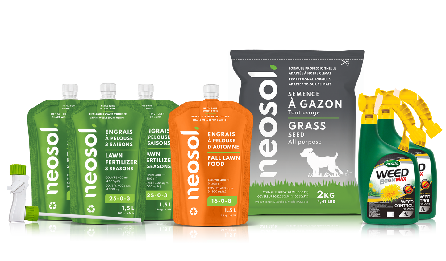 Neosol Box - Option 3 (4E, 1S, 2H)