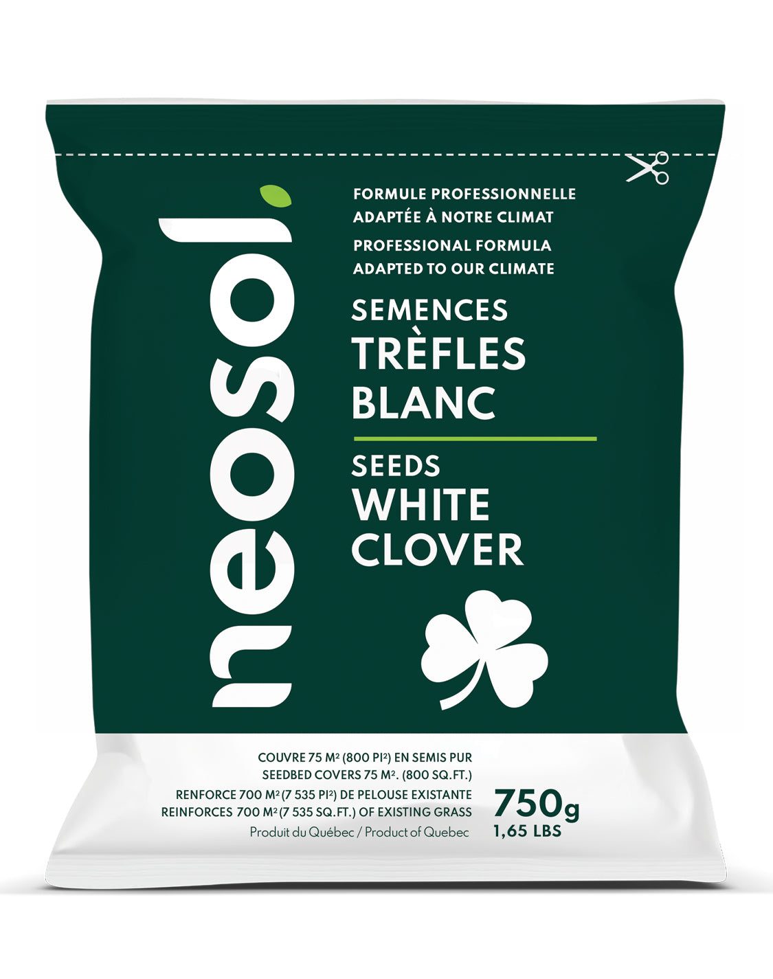 Semences à trèfles blanc